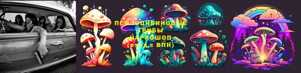 spice Алзамай