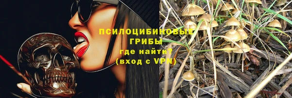 крисы Алексеевка