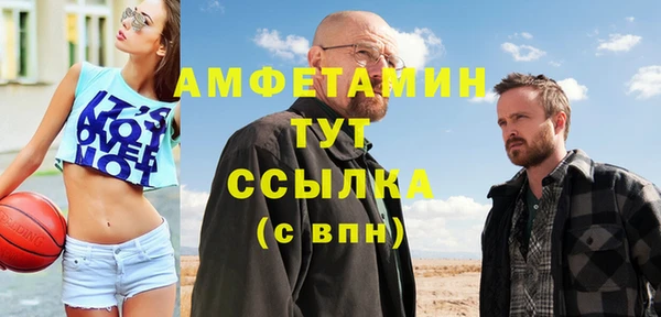 дмт Абаза